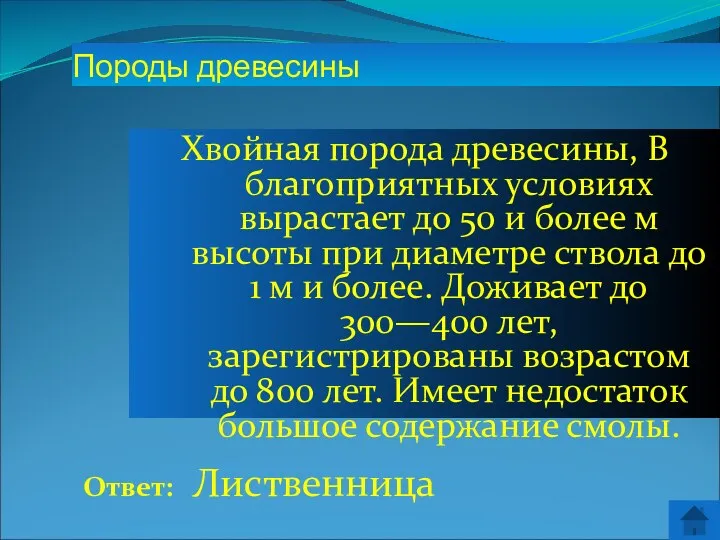 Ответ: Лиственница Породы древесины Хвойная порода древесины, В благоприятных условиях вырастает