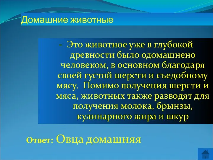 Ответ: Овца домашняя Домашние животные - Это животное уже в глубокой