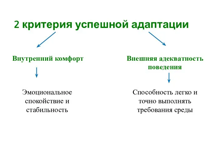 2 критерия успешной адаптации Внутренний комфорт Внешняя адекватность поведения Эмоциональное спокойствие