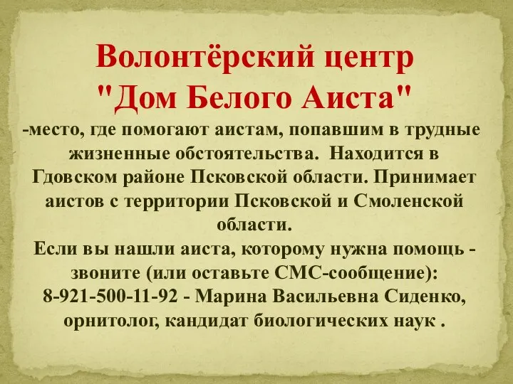 Волонтёрский центр "Дом Белого Аиста" место, где помогают аистам, попавшим в