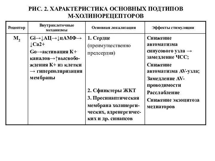 РИС. 2. ХАРАКТЕРИСТИКА ОСНОВНЫХ ПОДТИПОВ М-ХОЛИНОРЕЦЕПТОРОВ