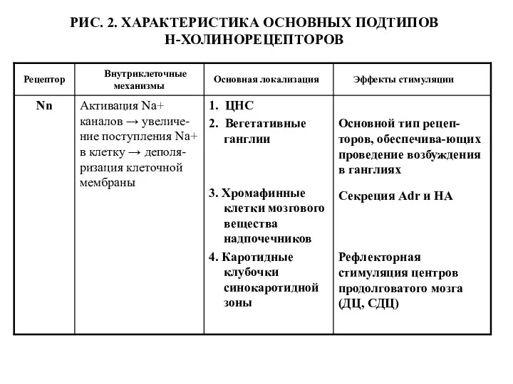 РИС. 2. ХАРАКТЕРИСТИКА ОСНОВНЫХ ПОДТИПОВ Н-ХОЛИНОРЕЦЕПТОРОВ