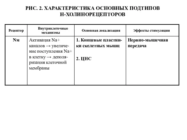 РИС. 2. ХАРАКТЕРИСТИКА ОСНОВНЫХ ПОДТИПОВ Н-ХОЛИНОРЕЦЕПТОРОВ