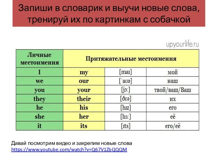 Запиши в словарик и выучи новые слова, тренируй их по картинкам