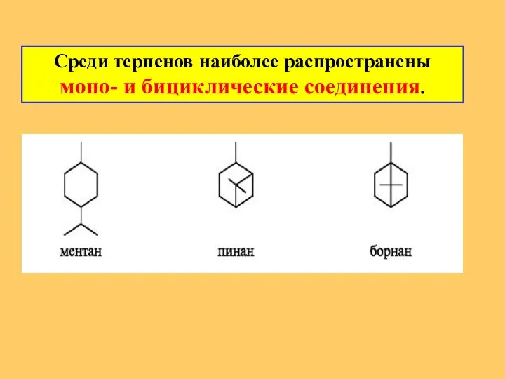 Среди терпенов наиболее распространены моно- и бициклические соединения.