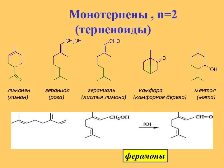 Монотерпены , n=2 (терпеноиды) лимонен гераниол гераниаль камфора ментол (лимон) (роза)