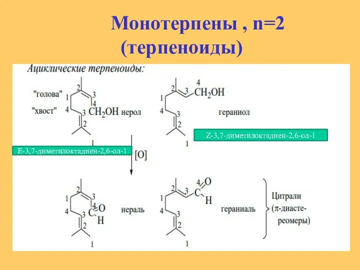 Монотерпены , n=2 (терпеноиды) Е-3,7-диметилоктадиен-2,6-ол-1 Z-3,7-диметилоктадиен-2,6-ол-1