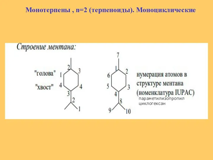 Монотерпены , n=2 (терпеноиды). Моноциклические параметилизопропилциклогексан