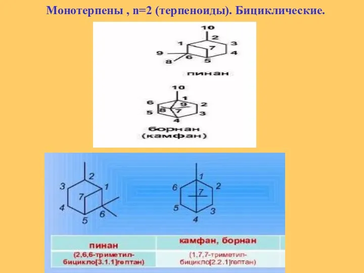 Монотерпены , n=2 (терпеноиды). Бициклические.