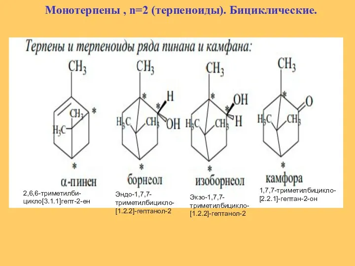 Монотерпены , n=2 (терпеноиды). Бициклические. 1,7,7-​триметилбицикло-​ [2.2.1]-​гептан-​2-​он Эндо-1,7,7-​триметилбицикло-​[1.2.2]-​гептанол-​2 Экзо-1,7,7-​триметилбицикло-​[1.2.2]-​гептанол-​2 2,6,6-триметилби-цикло[3.1.1]гепт-2-ен