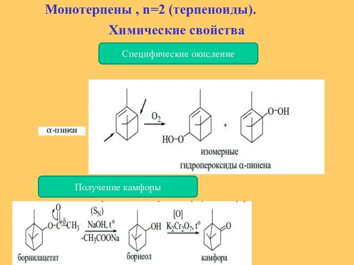 Монотерпены , n=2 (терпеноиды). Химические свойства Специфические окисление Получение камфоры