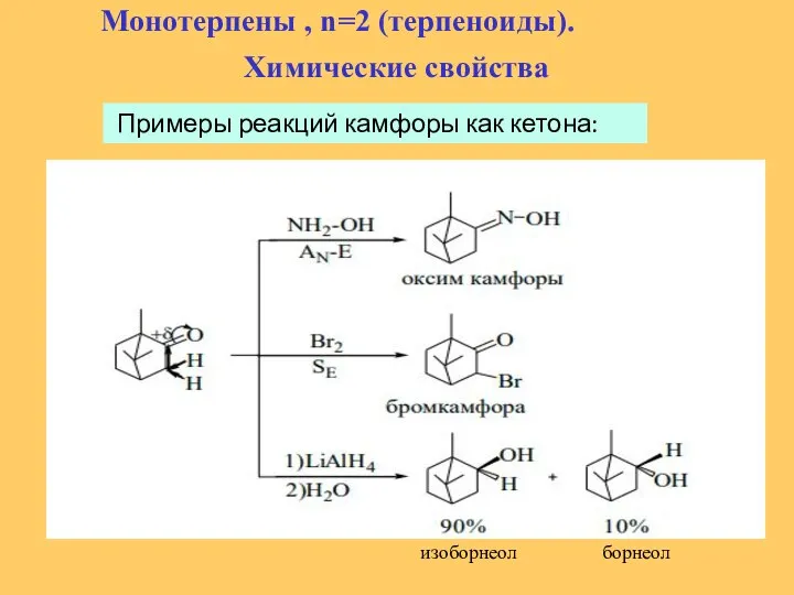 Монотерпены , n=2 (терпеноиды). Химические свойства Примеры реакций камфоры как кетона: изоборнеол борнеол