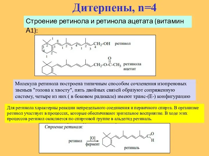 Дитерпены, n=4 Строение ретинола и ретинола ацетата (витамин А1): Молекула ретинола