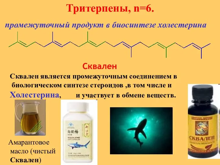 Тритерпены, n=6. Сквален Сквален является промежуточным соединением в биологическом синтезе стероидов