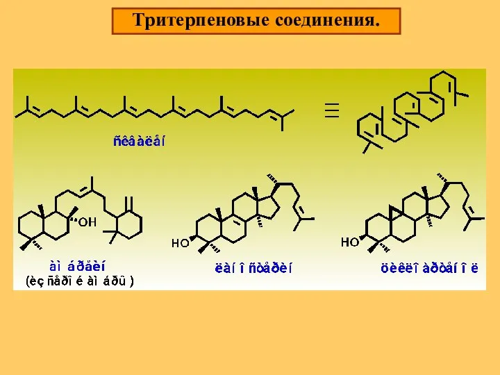 Тритерпеновые соединения.