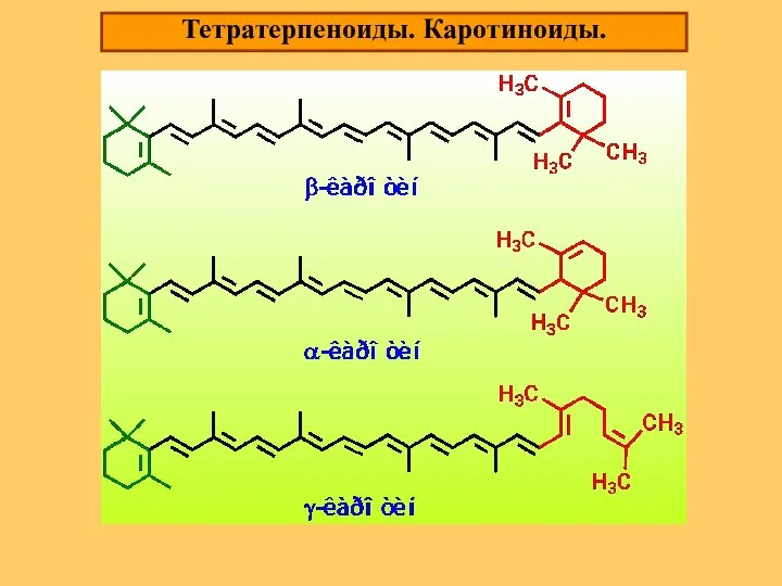 Тетратерпеноиды. Каротиноиды.