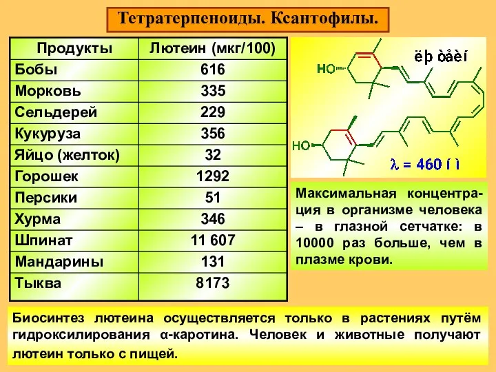 Тетратерпеноиды. Ксантофилы. Биосинтез лютеина осуществляется только в растениях путём гидроксилирования α-каротина.