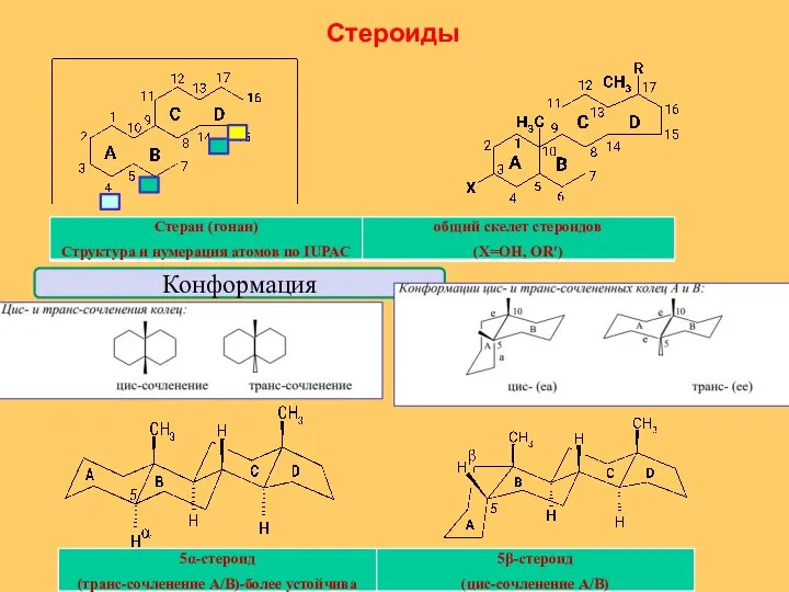 Стероиды Конформация