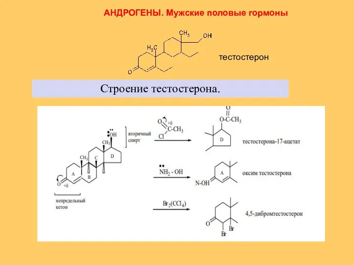 АНДРОГЕНЫ. Мужские половые гормоны тестостерон Строение тестостерона.