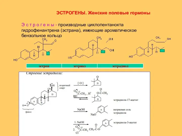 ЭСТРОГЕНЫ. Женские половые гормоны Э с т р о г е