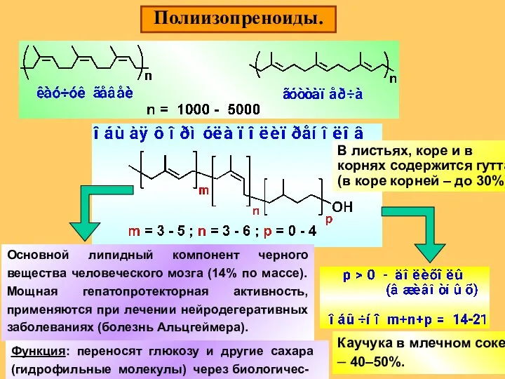 Полиизопреноиды. Основной липидный компонент черного вещества человеческого мозга (14% по массе).