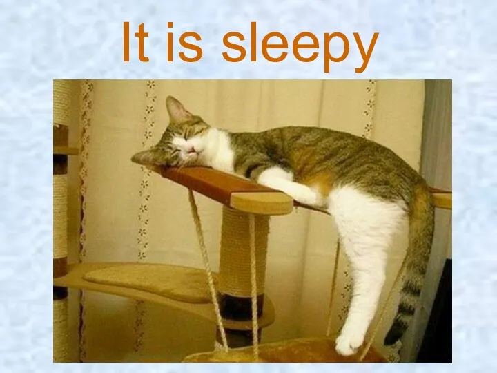 It is sleepy