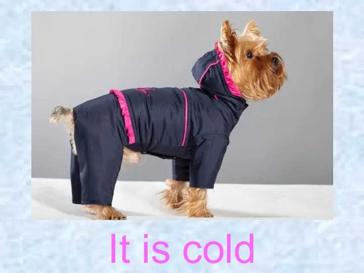 It is cold