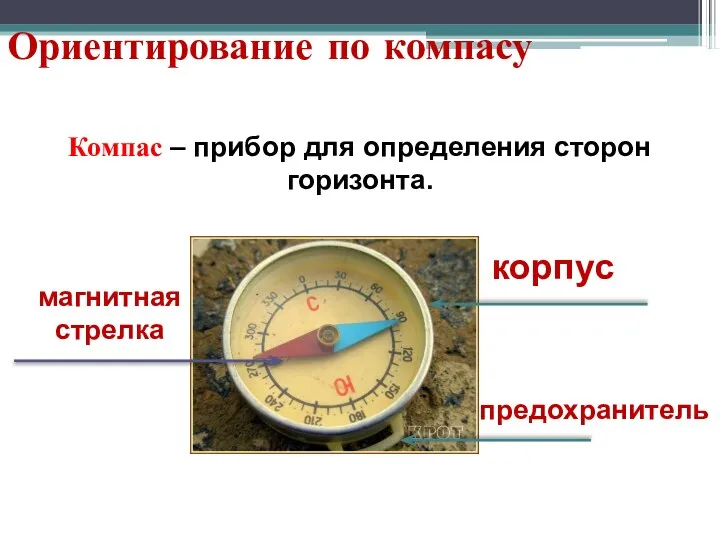 Ориентирование по компасу Компас – прибор для определения сторон горизонта. предохранитель магнитная стрелка корпус