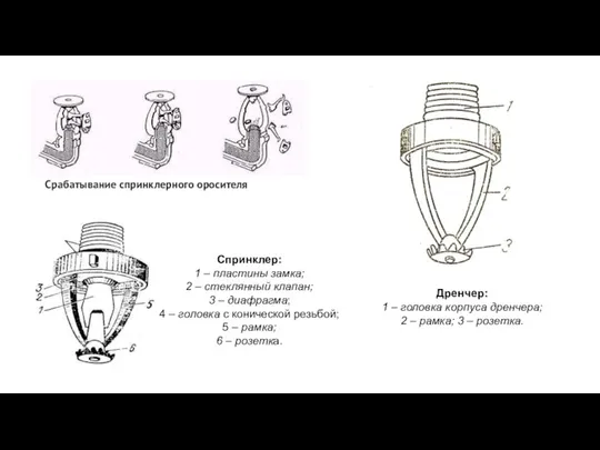 Срабатывание спринклерного оросителя Спринклер: 1 – пластины замка; 2 – стеклянный