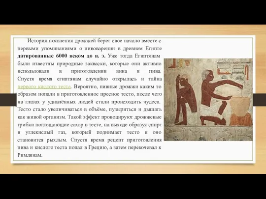 История появления дрожжей берет свое начало вместе с первыми упоминаниями о