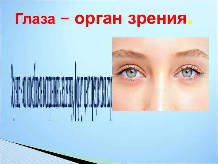 Глаза – орган зрения. Зрение - это способность воспринимать величину, форму, цвет предметов и их расположение.