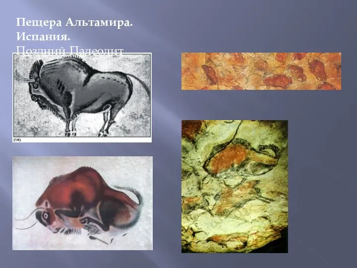 Пещера Альтамира. Испания. Поздний Палеолит