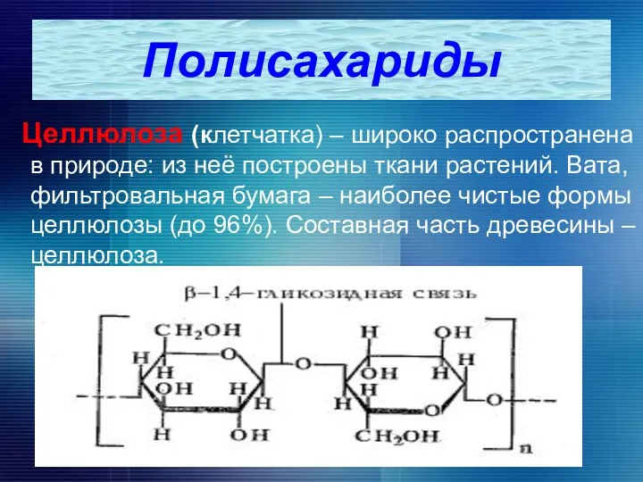 Целлюлоза (клетчатка) – широко распространена в природе: из неё построены ткани