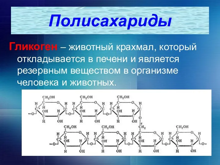 Гликоген – животный крахмал, который откладывается в печени и является резервным