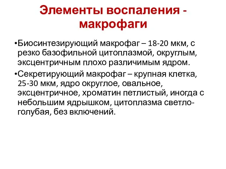 Элементы воспаления - макрофаги Биосинтезирующий макрофаг – 18-20 мкм, с резко