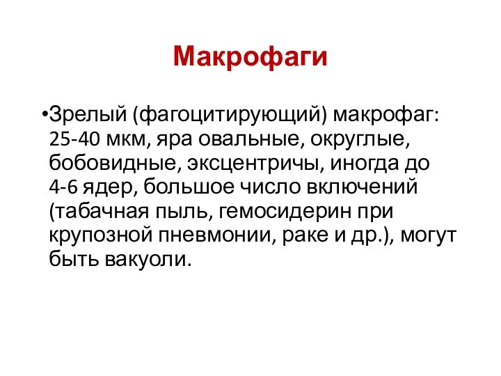 Макрофаги Зрелый (фагоцитирующий) макрофаг: 25-40 мкм, яра овальные, округлые, бобовидные, эксцентричы,