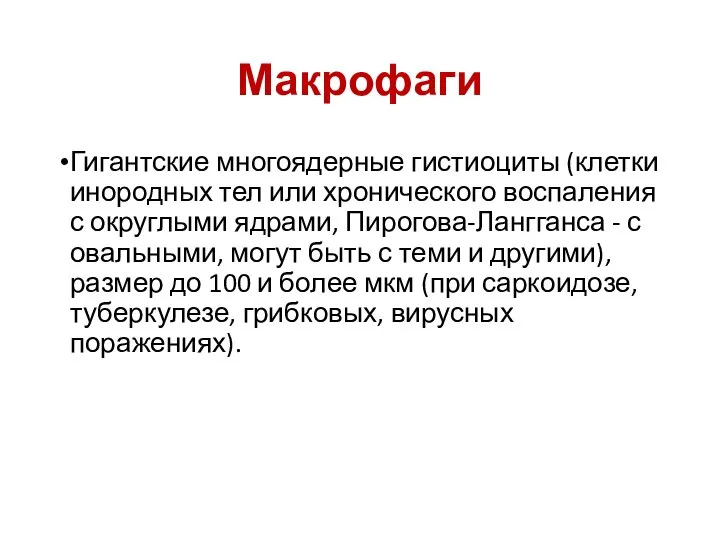 Макрофаги Гигантские многоядерные гистиоциты (клетки инородных тел или хронического воспаления с