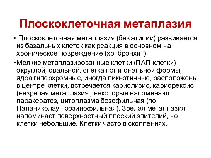 Плоскоклеточная метаплазия Плоскоклеточная метаплазия (без атипии) развивается из базальных клеток как