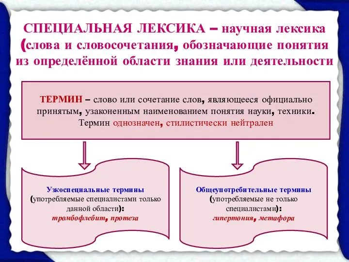 СПЕЦИАЛЬНАЯ ЛЕКСИКА – научная лексика (слова и словосочетания, обозначающие понятия из