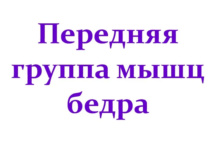 Передняя группа мышц бедра