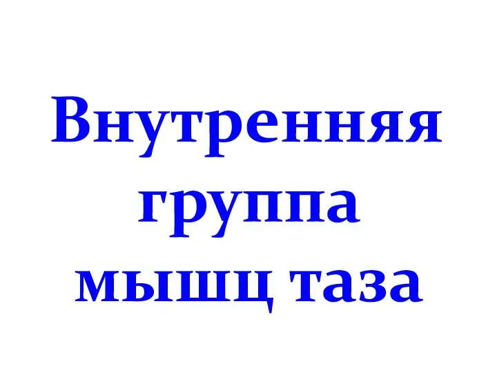 Внутренняя группа мышц таза