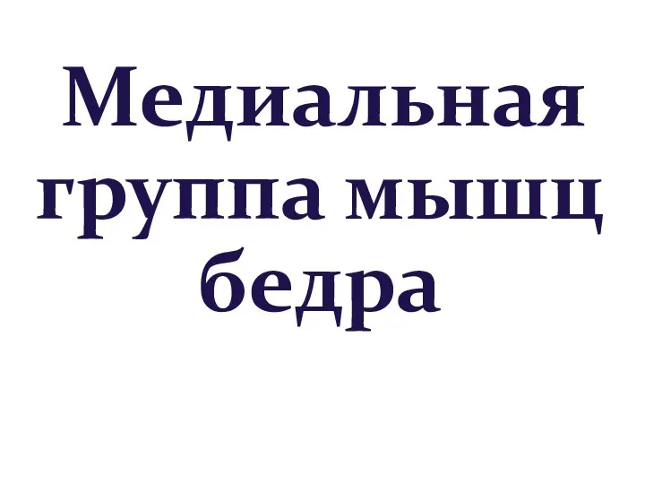 Медиальная группа мышц бедра