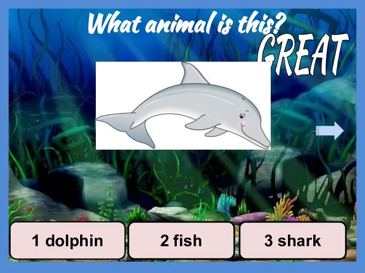 What animal is this? 2 fish 1 dolphin 3 shark GREAT