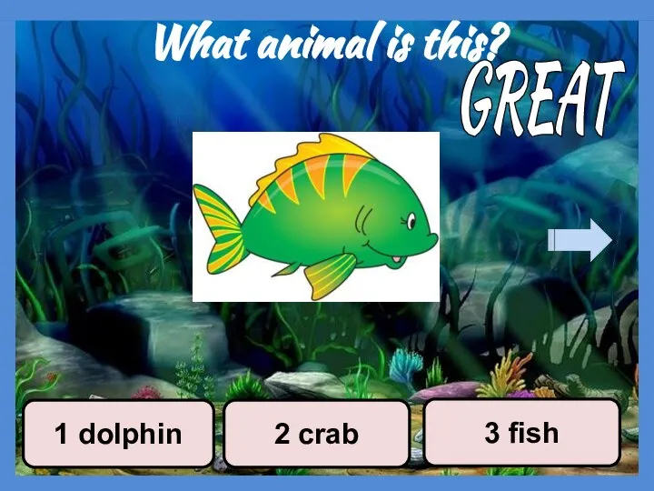 What animal is this? 2 crab 3 fish 1 dolphin GREAT