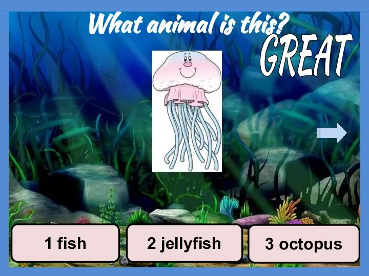 What animal is this? 3 octopus 2 jellyfish 1 fish GREAT