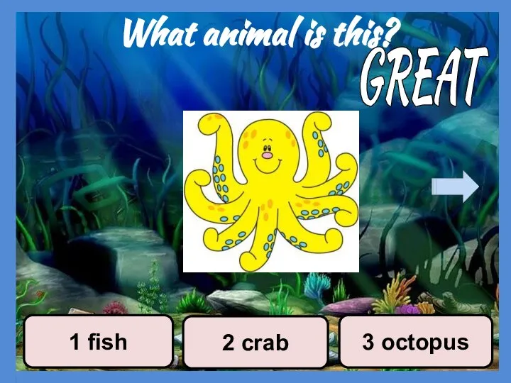 What animal is this? 2 crab 3 octopus 1 fish GREAT