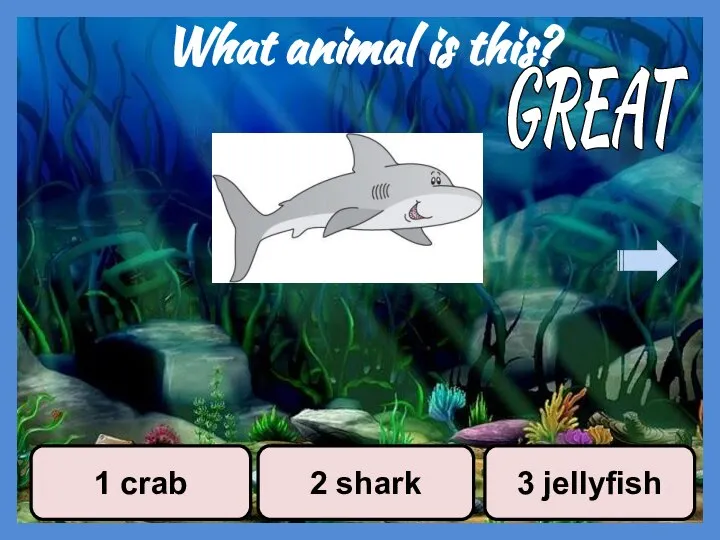 What animal is this? 1 crab 2 shark 3 jellyfish GREAT