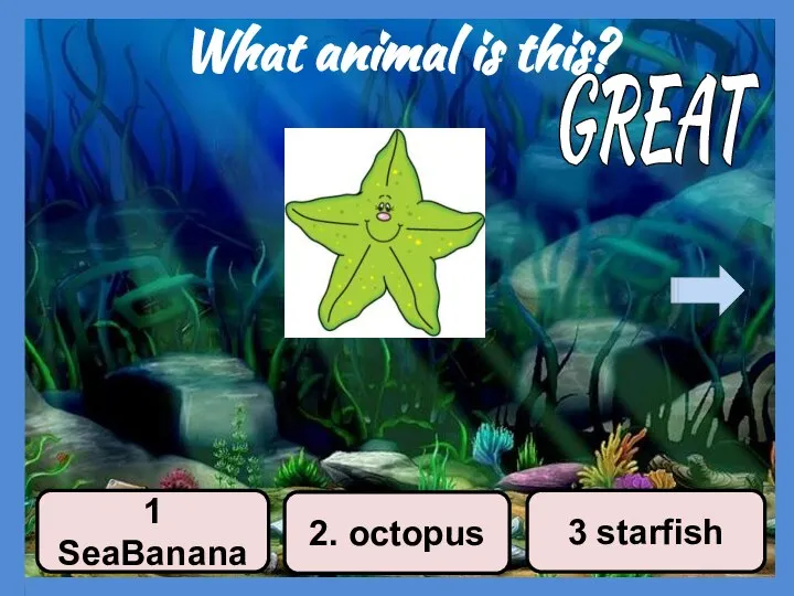 What animal is this? 2. octopus 3 starfish 1 SeaBanana GREAT