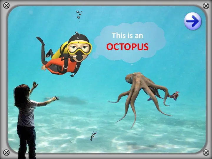 This is an OCTOPUS