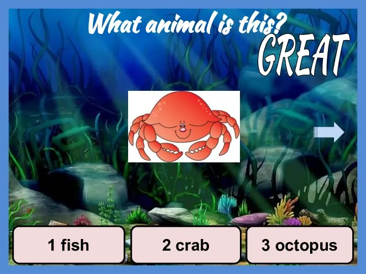 What animal is this? 1 fish 2 crab 3 octopus GREAT